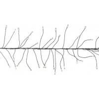 Гирлянда Luca Lighting кластер Медная черная струна теплый белый 11 м Фото