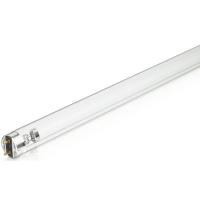 Лампочка Philips TUV 30W 1SL/25-Latest Фото