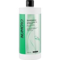 Шампунь Brelil Numero для надання об'єму з екстрактом асаї 1 л Фото