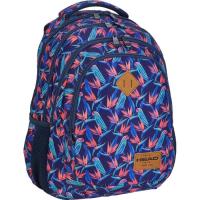 Рюкзак школьный Head 3 HD-213 45x31х19 см 27 л Фото