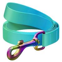 Поводок для собак WAUDOG Nylon Recycled M Ш 20 мм Д 122 см голубой Фото