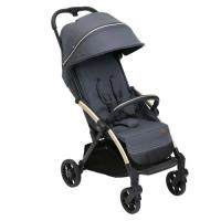 Коляска Chicco Goody XPlus Сіра 8058664173051 Фото