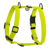 Шлей для собак WAUDOG Magnet анатомическая Н-образная с QR-паспортом, ма Фото