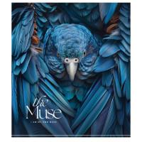 Тетрадь Школярик THE MUSE 48 листов линия Фото