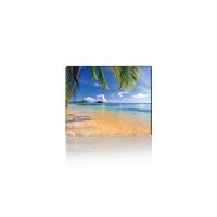 Коврик для мышки Voltronic Tropical Palm Фото