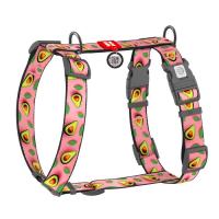 Шлей для собак WAUDOG Nylon анатомическая H-образная с QR-паспортом "Аво Фото