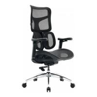 Офисное кресло Sihoo DORO S100 Mesh Black Фото