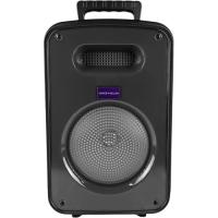 Акустическая система Grunhelm GW - 818 BM Фото