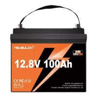Батарея LiFePo4 YEAGULCH 12.8V 100Ah Mini Max Фото
