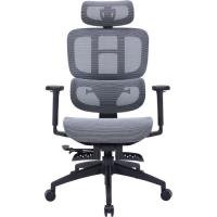 Офісне крісло OfficePro Skyline OC750-B-DG-DG Фото