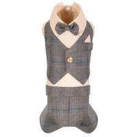 Костюм для животных Pet Fashion Happy S Фото