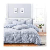 Постельное белье Viluta 24288 ранфорс Евро Фото