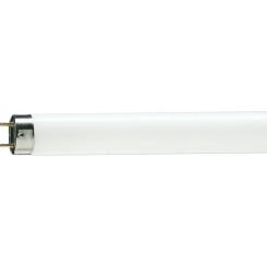 Лампочка Philips TL-D G13 600mm 18W/33-640 1SL/25 Фото