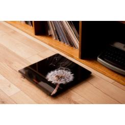 Весы напольные Ardesto SCB-965BL Фото 1