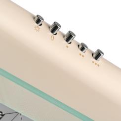 Вытяжка кухонная Pyramida WHX 50 IV Фото 2