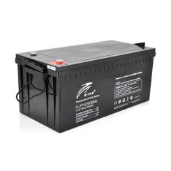 Батарея LiFePo4 Ritar R-LFP 12.8V 300Ah Фото