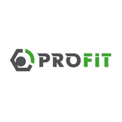 Воздушный фильтр для автомобиля Profit 1512-3067 Фото