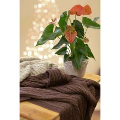 Плед Прованс Soft косы Моко 90x130 см Фото 3