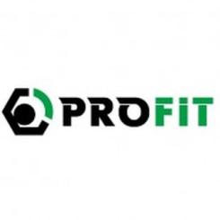 Воздушный фильтр для автомобиля Profit 1512-4270 Фото