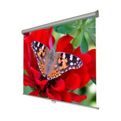 Проекционный экран Walfix SNM-3 Фото