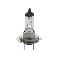 Автолампа SCT-GERMANY H7 Basic 12V 55W PX26d Фото