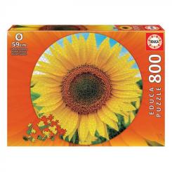 Пазл Educa Подсолнечник 800 элементов Фото