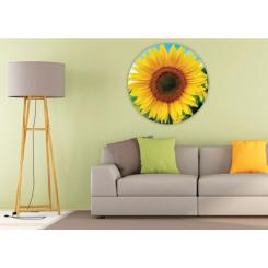 Пазл Educa Подсолнечник 800 элементов Фото 2