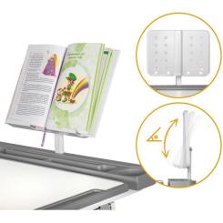 Парта со стулом Evo-kids BD-23 G Фото 5