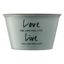Бульйонница Ardesto Way of Life 550 мл Blue Фото 3