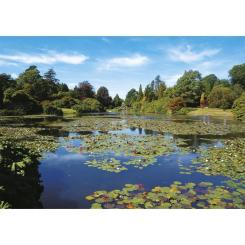 Пазл Piatnik Тихий пруд, 1000 елементів Фото 1