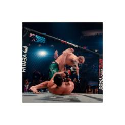 Игра Sony EA Sports UFC 5 , BD диск Фото 8