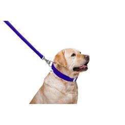Поводок для собак WAUDOG Glamour кожаный M-XXL фиолетовый Фото 3
