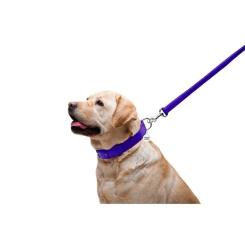 Поводок для собак WAUDOG Glamour кожаный M-XXL фиолетовый Фото 4
