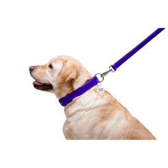 Поводок для собак WAUDOG Glamour кожаный M-XXL фиолетовый Фото 5