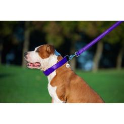 Поводок для собак WAUDOG Glamour кожаный M-XXL фиолетовый Фото 6