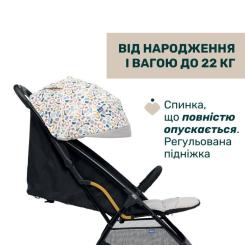 Коляска Chicco Glee Stroller Сіра (8058664173617) Фото 1