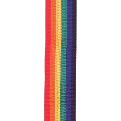 Ремень для гитары D'Addario PolyPro Guitar Strap Rainbow Фото 2