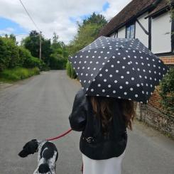 Зонт Fulton L501-041628 Tiny-2 Smiley Spot Фото 4