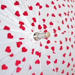 Зонт Fulton L909-041031 Heart Walker-1 Mini Hearts Фото 10