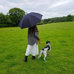 Зонт Fulton Hampstead-1 L893 - Black Фото 2