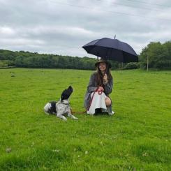 Зонт Fulton Hampstead-1 L893 - Black Фото 3