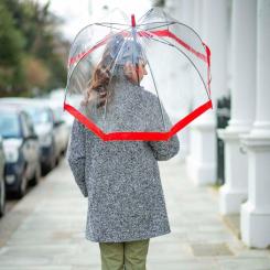 Зонт Fulton Birdcage-1 L041 Red Фото 2