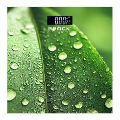 Весы напольные Brock BS 003 Фото