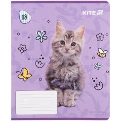 Тетрадь Kite Rachael Hale, 18 аркушів, клітинка Фото 10