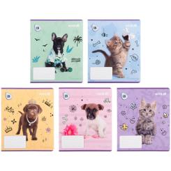 Тетрадь Kite Rachael Hale, 18 аркушів, клітинка Фото