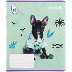 Тетрадь Kite Rachael Hale, 18 аркушів, клітинка Фото 2