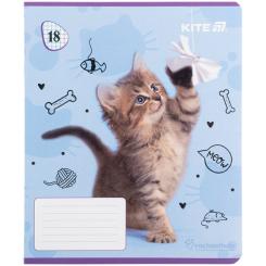 Тетрадь Kite Rachael Hale, 18 аркушів, клітинка Фото 4