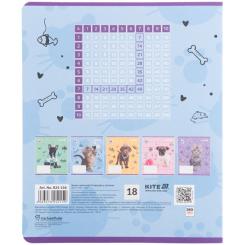 Тетрадь Kite Rachael Hale, 18 аркушів, клітинка Фото 5