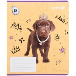 Тетрадь Kite Rachael Hale, 18 аркушів, клітинка Фото 6