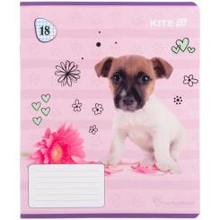 Тетрадь Kite Rachael Hale, 18 аркушів, клітинка Фото 8